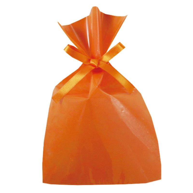 ラッピング｜【小ロット】ソフトバッグクリアS3　2穴リボン巾着　10枚入