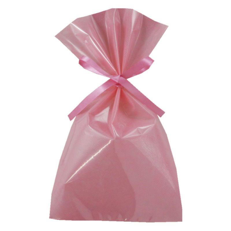 ラッピング｜【小ロット】ソフトバッグクリアS4　2穴リボン巾着 10枚入