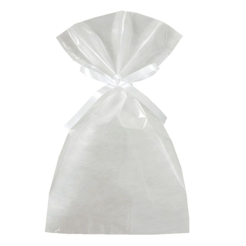 ラッピング｜【小ロット】ソフトバッグクリアS4　2穴リボン巾着 10枚入