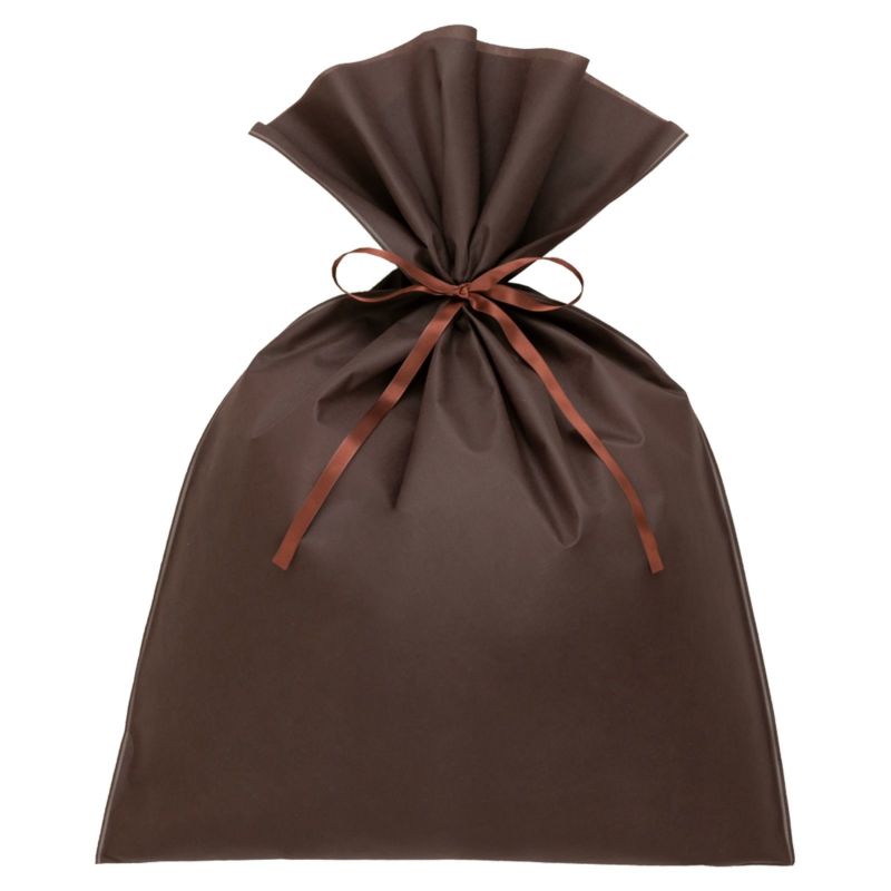 ラッピング｜ソフトバッグベーシックS9厚　2穴リボン巾着　50枚入