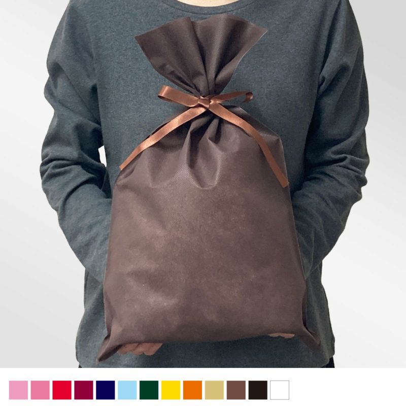 ラッピング｜ ソフトバッグベーシックS6　2穴リボン巾着 10枚入