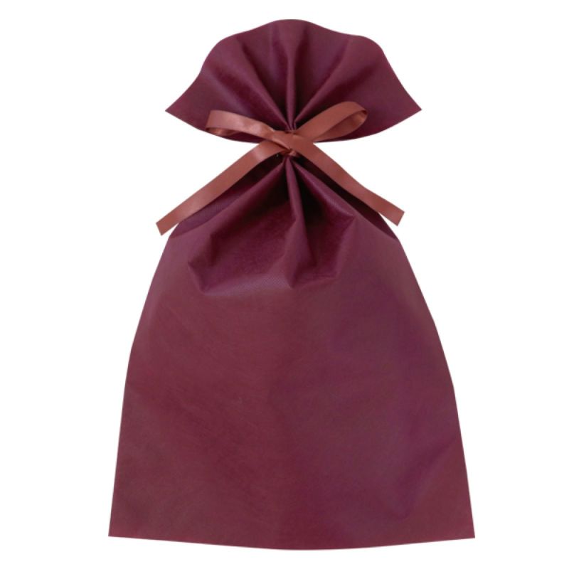 ラッピング｜ ソフトバッグベーシックS6　2穴リボン巾着 10枚入