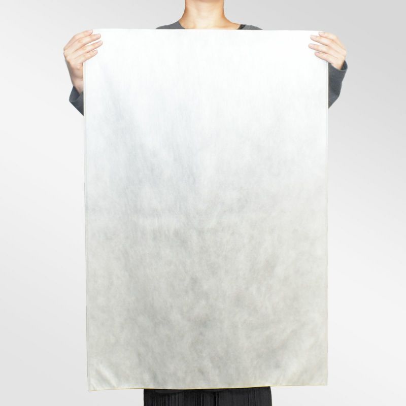 アパレル｜不織布製平袋　極厚タイプ（40g）　大　100枚入～