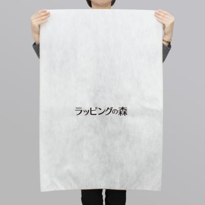 名入れ対応／1000枚以上専用】不織布製平袋 極厚タイプ 大｜不織布