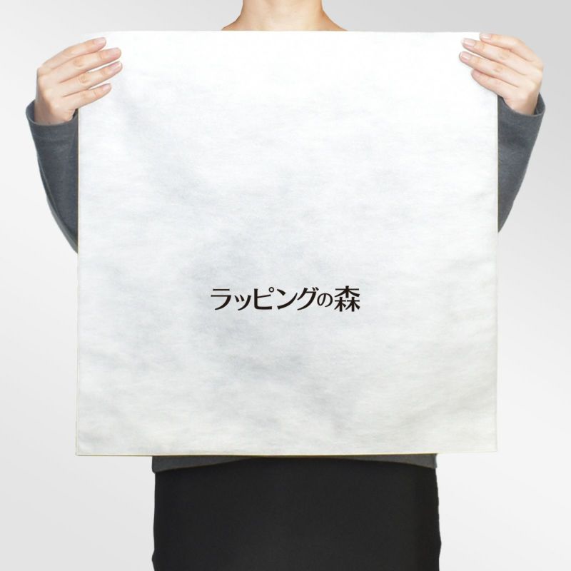 アパレル｜【名入れ対応】不織布製平袋　極厚タイプ（40g）　サイズ50　100枚入