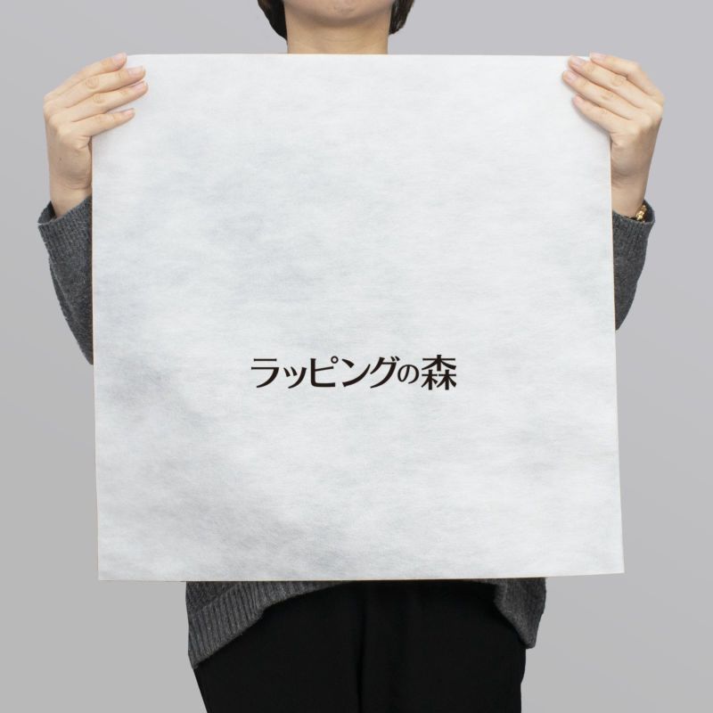 アパレル｜【名入れ対応】不織布製平袋　極厚タイプ（40g）　サイズ50　100枚入