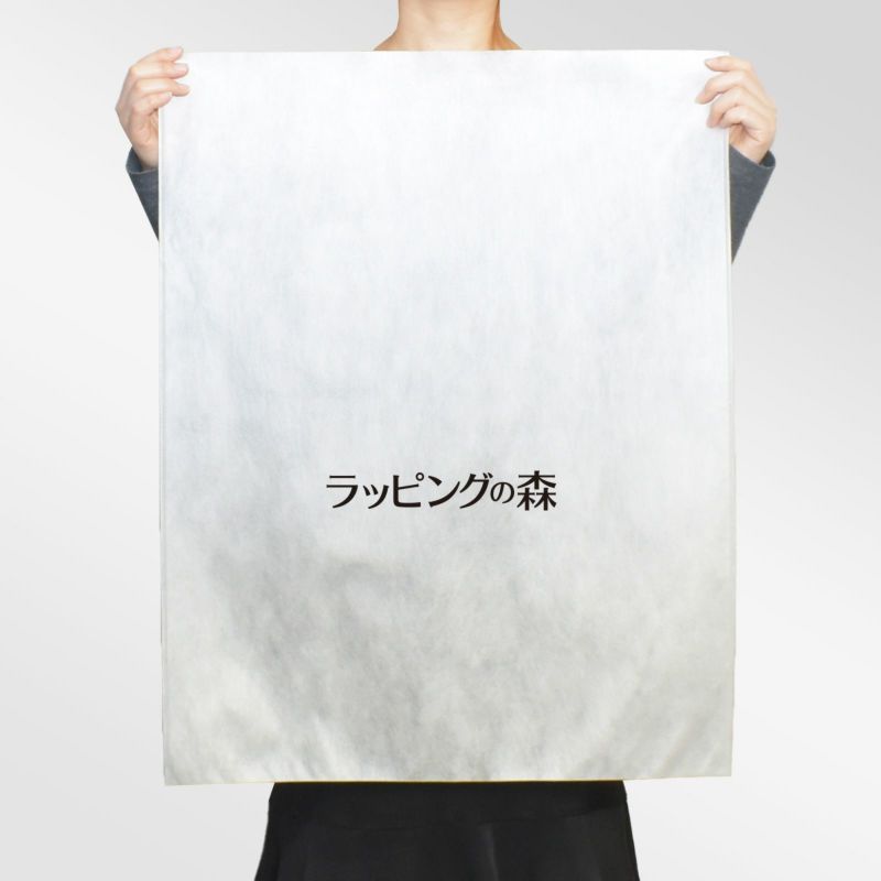 アパレル｜【名入れ対応／1000枚以上専用】不織布製平袋　極厚タイプ（40g）　中　ロングタイプ　100枚入