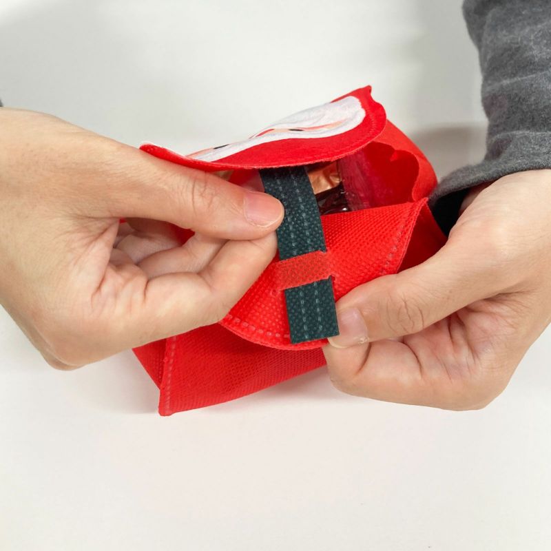 ラッピング｜ころりん　サンタクリスマスFP　20枚入～