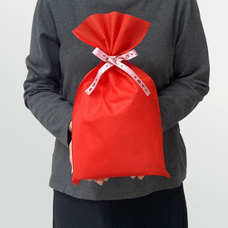 ラッピング｜ソフトバッグ2穴リボン（S5）｜薄手｜不織布包装袋｜50枚入～