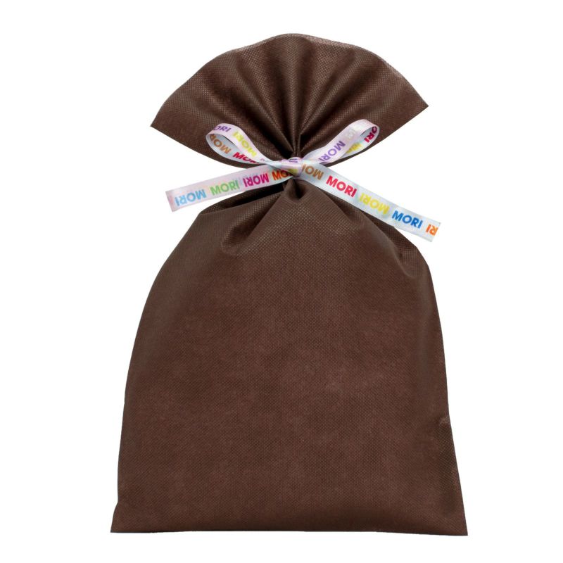 ラッピング｜【リボン名入れ】ソフトバッグ2穴リボン（S5）｜薄手｜不織布包装袋｜100枚入