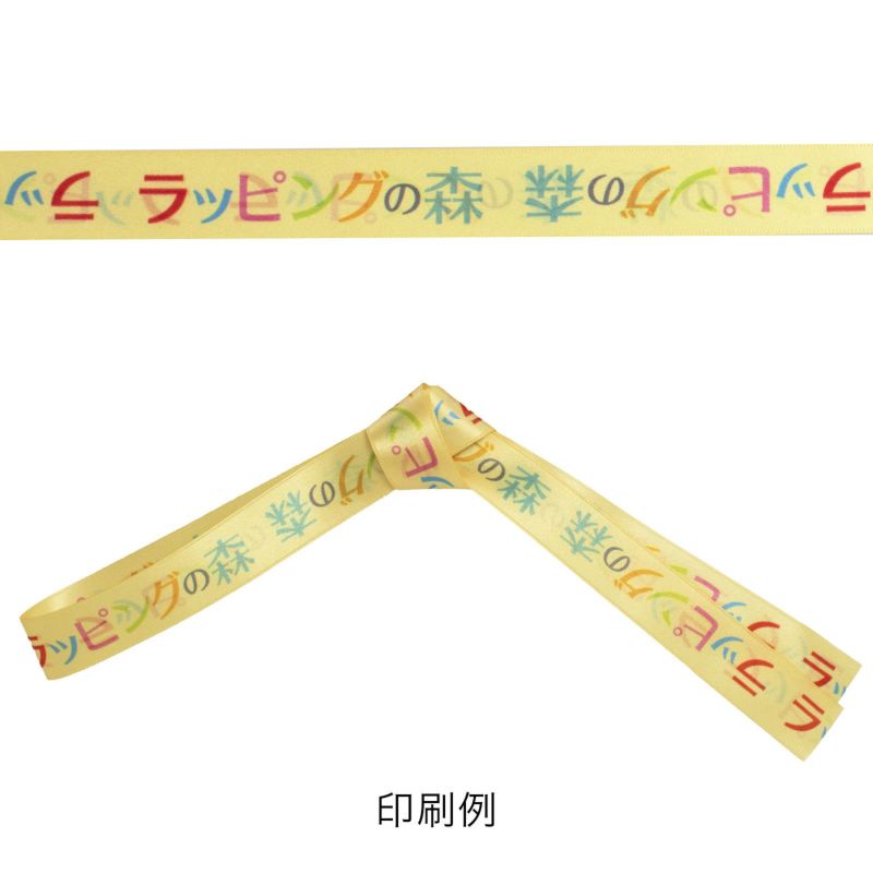 ラッピング｜【リボン名入れ】ソフトバッグ2穴リボン（S6）｜薄手｜不織布包装袋｜100枚入