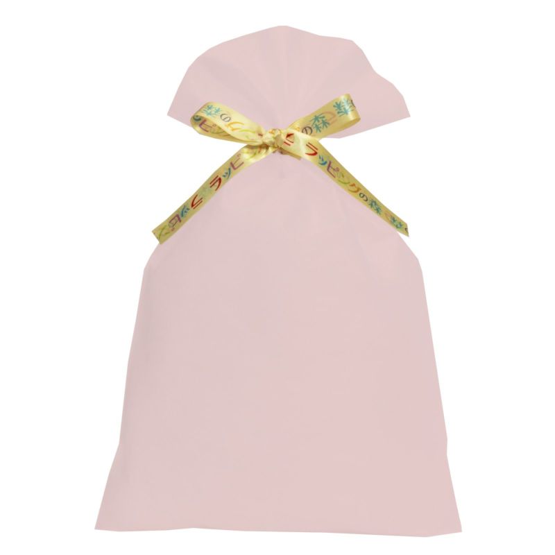 ラッピング｜【リボン名入れ】ソフトバッグ2穴リボン（S6）｜薄手｜不織布包装袋｜100枚入