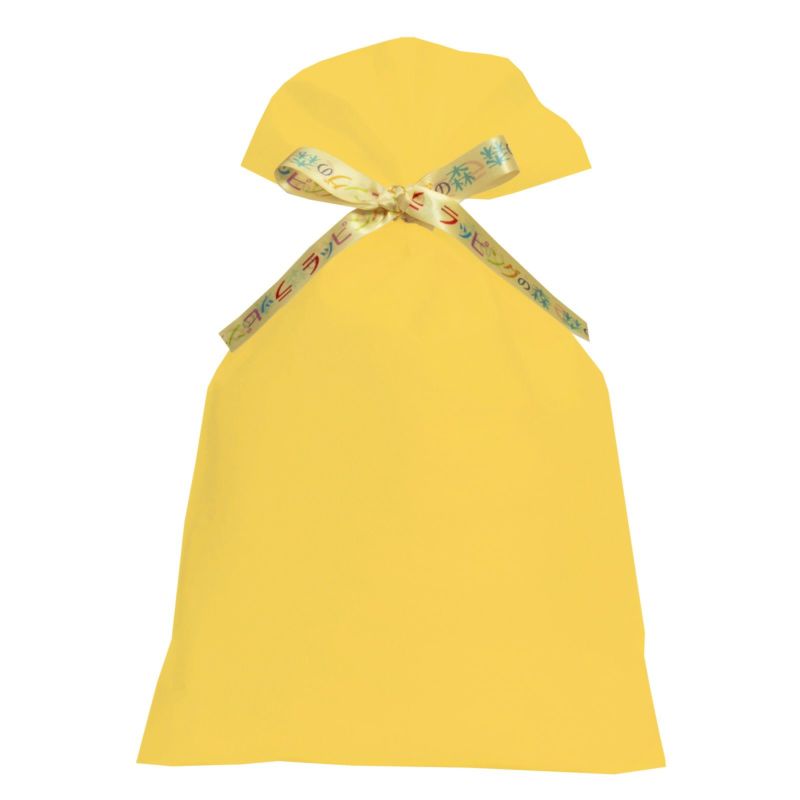 ラッピング｜【リボン名入れ】ソフトバッグ2穴リボン（S6）｜薄手｜不織布包装袋｜100枚入