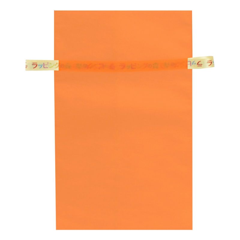 ラッピング｜【リボン名入れ】ソフトバッグ2穴リボン（S6）｜薄手｜不織布包装袋｜100枚入