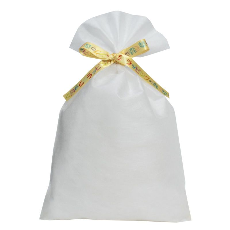 ラッピング｜【リボン名入れ】ソフトバッグ2穴リボン（S6）｜薄手｜不織布包装袋｜100枚入