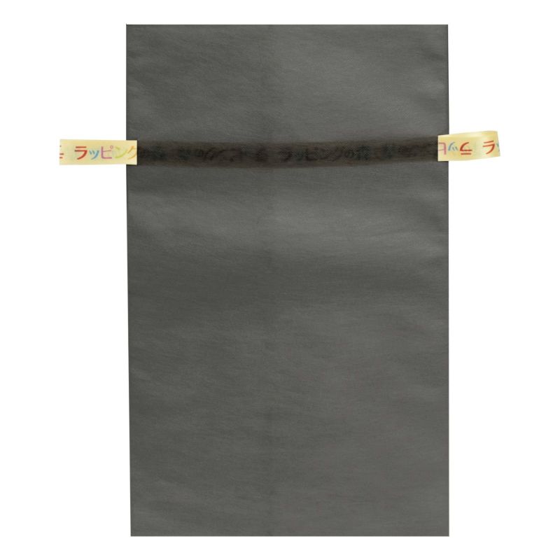 ラッピング｜【リボン名入れ】ソフトバッグ2穴リボン（S6）｜薄手｜不織布包装袋｜100枚入