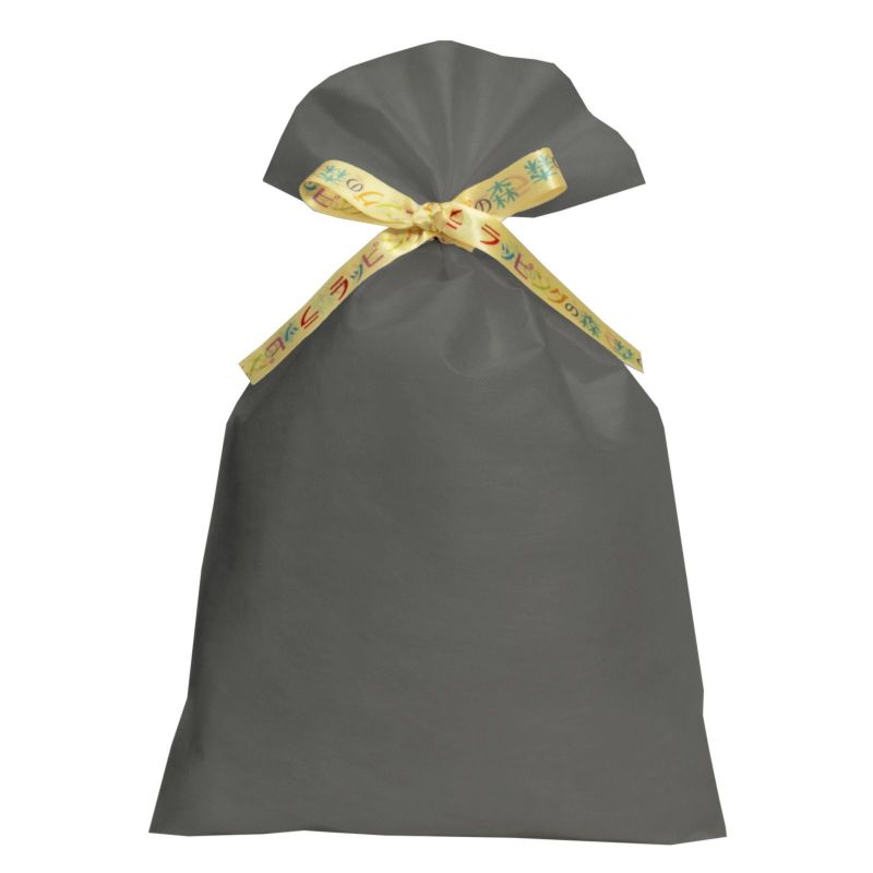 ラッピング｜【リボン名入れ】ソフトバッグ2穴リボン（S6）｜薄手｜不織布包装袋｜100枚入