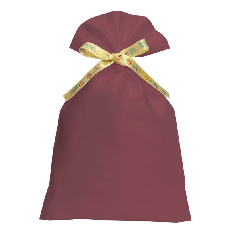 ラッピング｜【リボン名入れ】ソフトバッグ2穴リボン（S6）｜薄手｜不織布包装袋｜100枚入