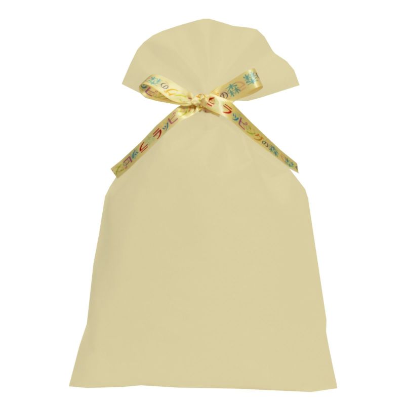 ラッピング｜【リボン名入れ】ソフトバッグ2穴リボン（S6）｜薄手｜不織布包装袋｜100枚入