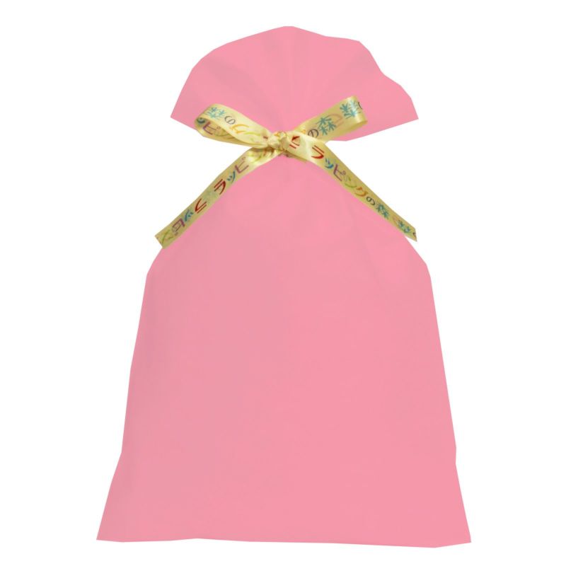 ラッピング｜【リボン名入れ】ソフトバッグ2穴リボン（S6）｜薄手｜不織布包装袋｜100枚入