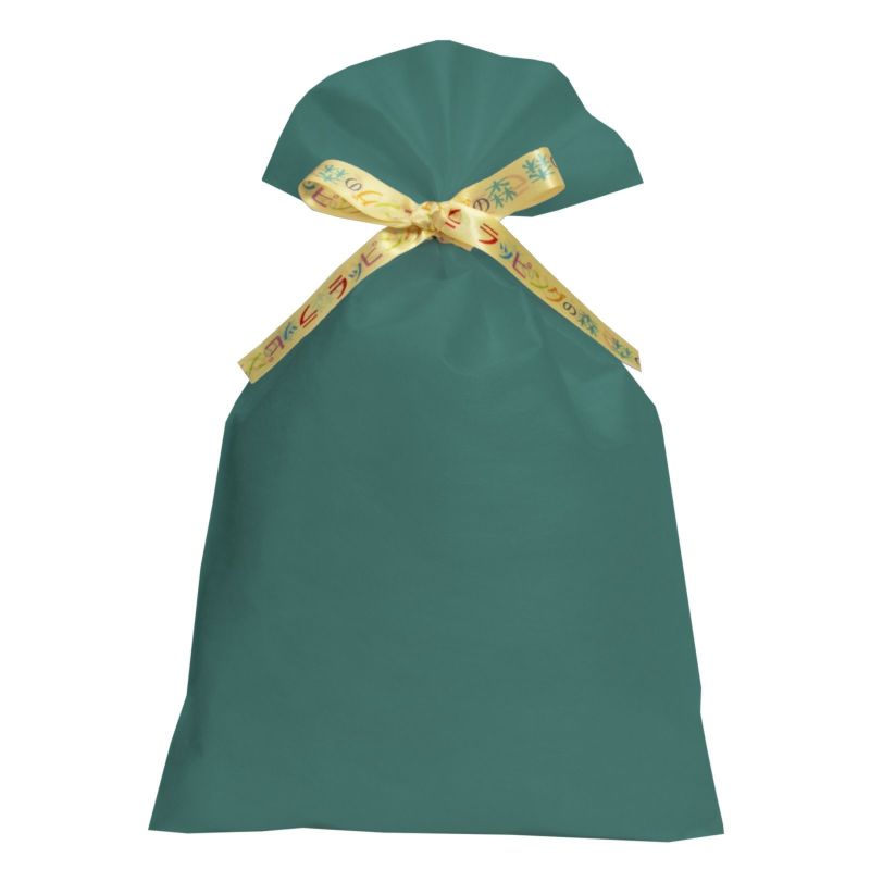 ラッピング｜【リボン名入れ】ソフトバッグ2穴リボン（S6）｜薄手｜不織布包装袋｜100枚入