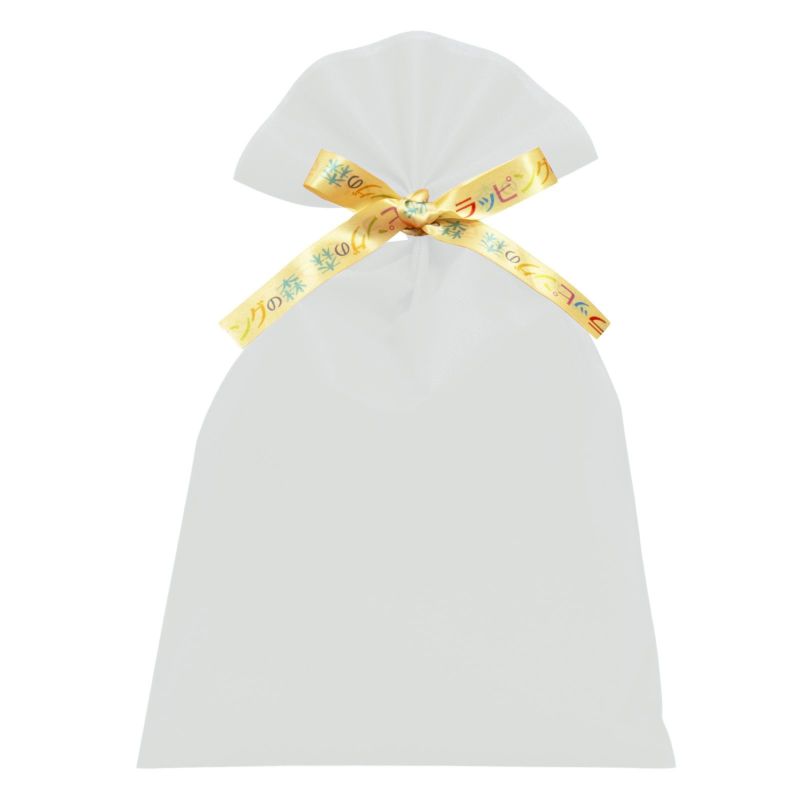 ラッピング｜【リボン名入れ】ソフトバッグ2穴リボン（S6）｜厚手｜不織布包装袋｜100枚入
