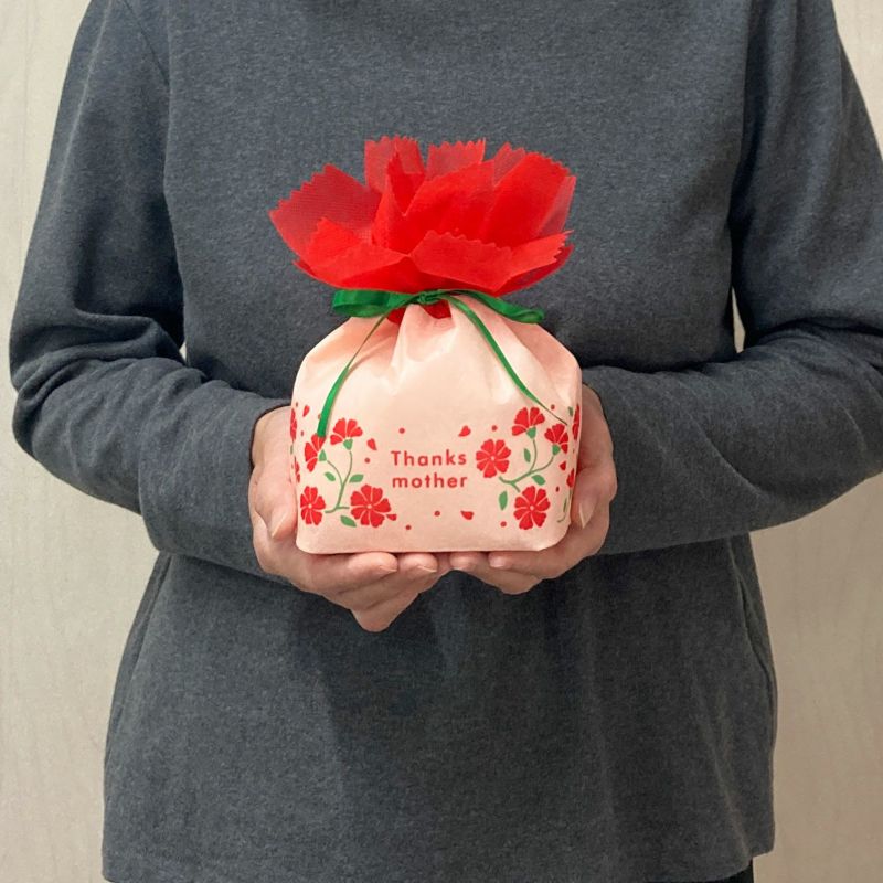 ラッピング｜【母の日】お花巾着（M)カーネーション柄｜不織布ラッピング袋｜20枚入～